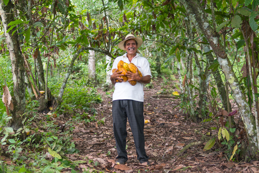 Cacao Farmer in Ecuador